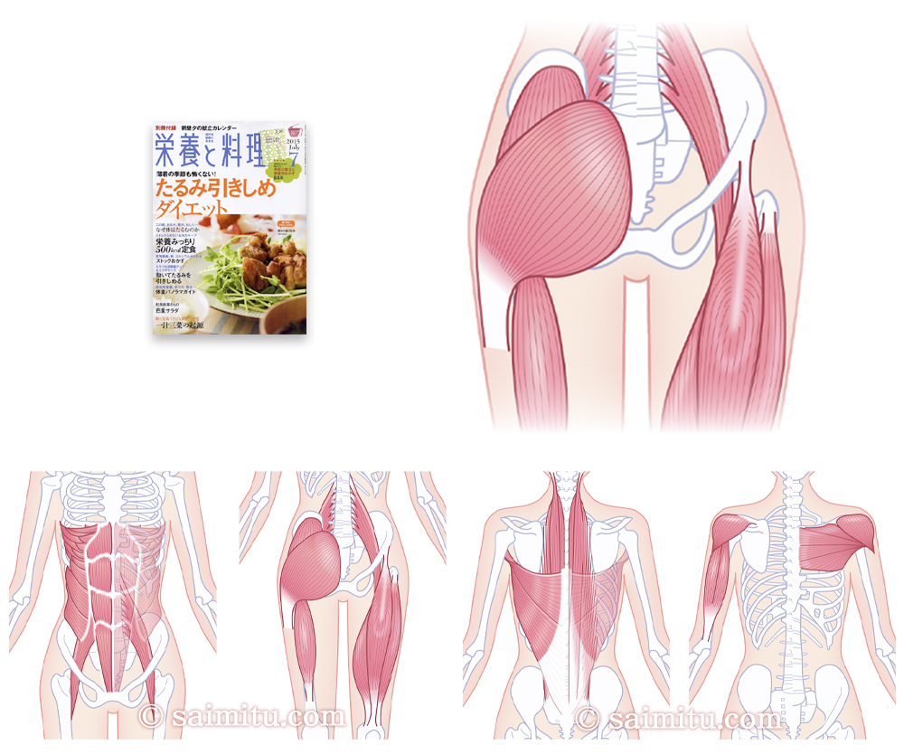 2015年7月号表紙、たるみを引きしめる筋肉、大殿筋、大腿二頭筋、大腰筋、大腿四頭筋、腹直筋、外腹筋、三角筋、大胸筋、上腕三頭筋、広背筋、背柱起立筋の各イラスト