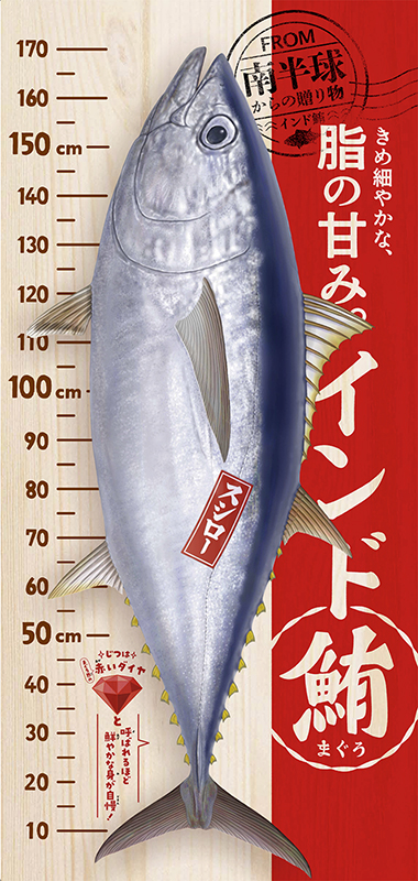 インドマグロと背比べポスター