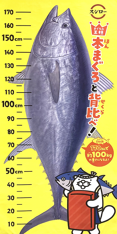 本マグロと背比べポスター