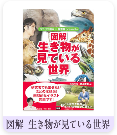 図解 生き物が見ている世界　表紙