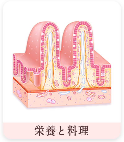 栄養と料理　小腸粘膜イラスト