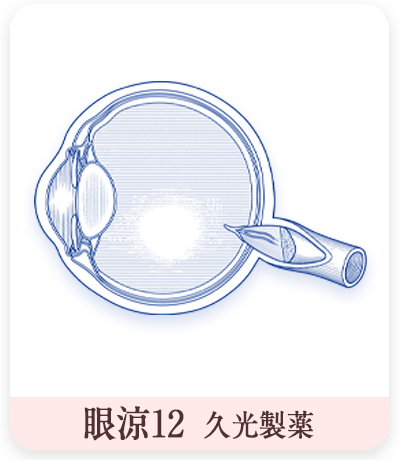 眼涼12　眼球断面図