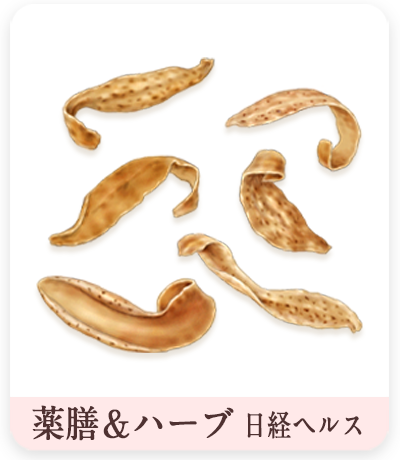薬膳＆ハーブ　乾燥オレンジフラワーイラスト