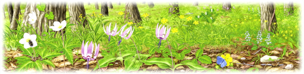 春の山野イラスト