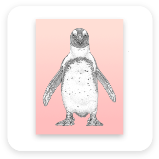 ケープペンギン点描図