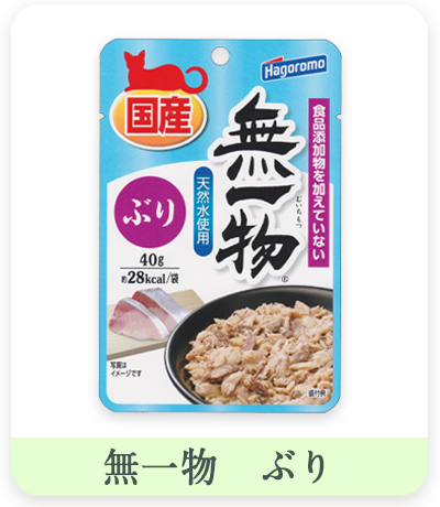 無一物　ぶり　パッケージパウチ