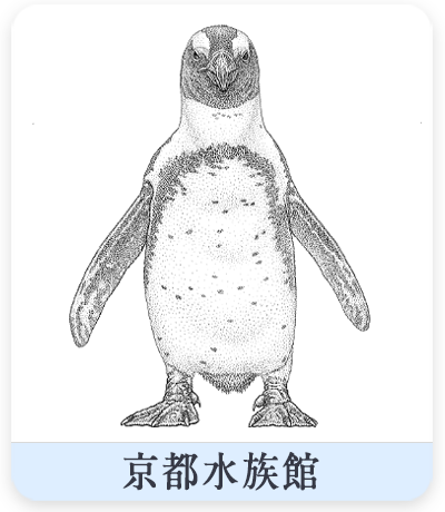 ケープペンギン点描図