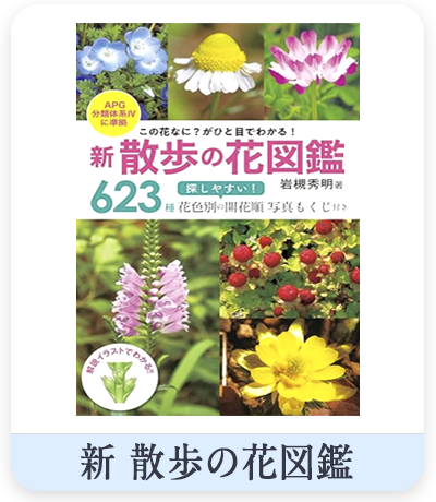 新 散歩の花図鑑　表紙