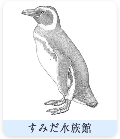 すみだ水族館
マゼランペンギン点描図