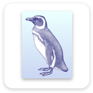 すみだ水族館
マゼランペンギン点描図