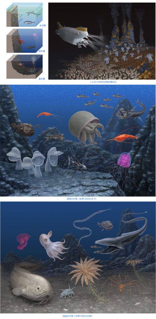 有光層、弱光層、無光層、しんかい6500＆熱水噴出孔、深海の生物（水深1000mまで）、深海の生物（水深1000m以深）の各イラスト