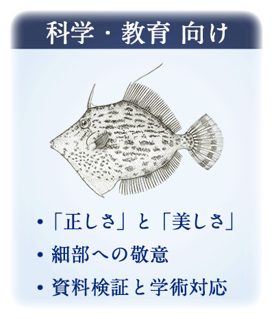 科学・教育  向け
・「正しさ」と「美しさ」
・細部への敬意
・資料検証と学術対応